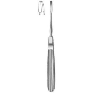 Rhinology