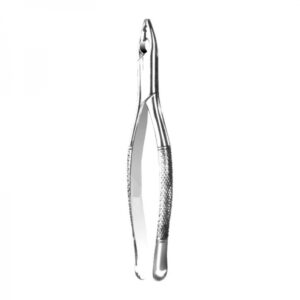 Anterior Forceps