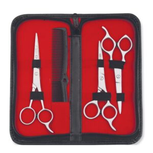 Barber Scissors Kit