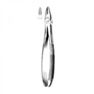 Anterior Forceps