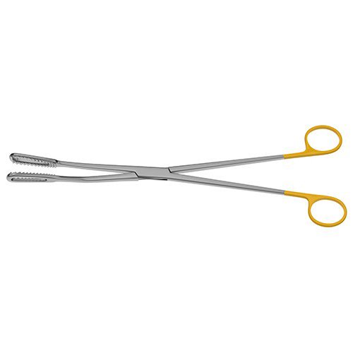 Bierer Ovum Forceps